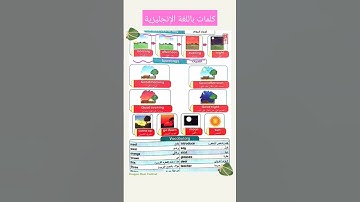 كونكت بلس تانية ابتدائي |الترم الأول | الوحدة الأولى الدرس الأول| Connect Plus 2 #انجليزي_للمبتدئين