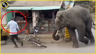 Angry Elephants Rampage in Public Areas !! by Ben Sojo 585,524 views 1 month ago 8 minutes, 31 seconds