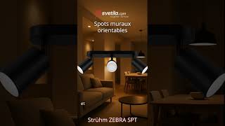 Vidéo - ZEBRA SPT GU10 3L noir / blanc