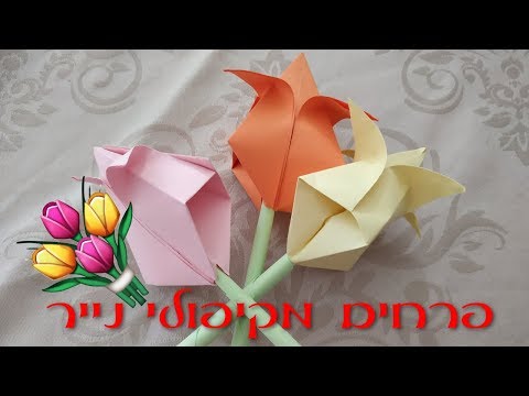 וִידֵאוֹ: איך נראה פרח עטיף?