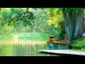 Relaxing Deep Sleep Music & Stunning Nature, Meditation Music, Stress, Healing Therapy Music
