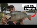 Mega Barsch - aber wir brauchen Zander | 15 Zander mit 2 Gummis | Jiggen am Fluss