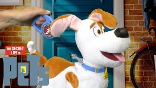 The Secret Life of Pets Best Friend Max Walking Talking Friend from Spin Master