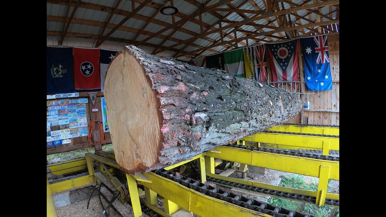 ⁣sawing a 32 inch pine log into 2x4's # 467