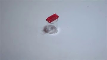 See the Part! | 32184 | Technic, Axle and Pin Connector Perpendicular 3L with Center Pin Hole