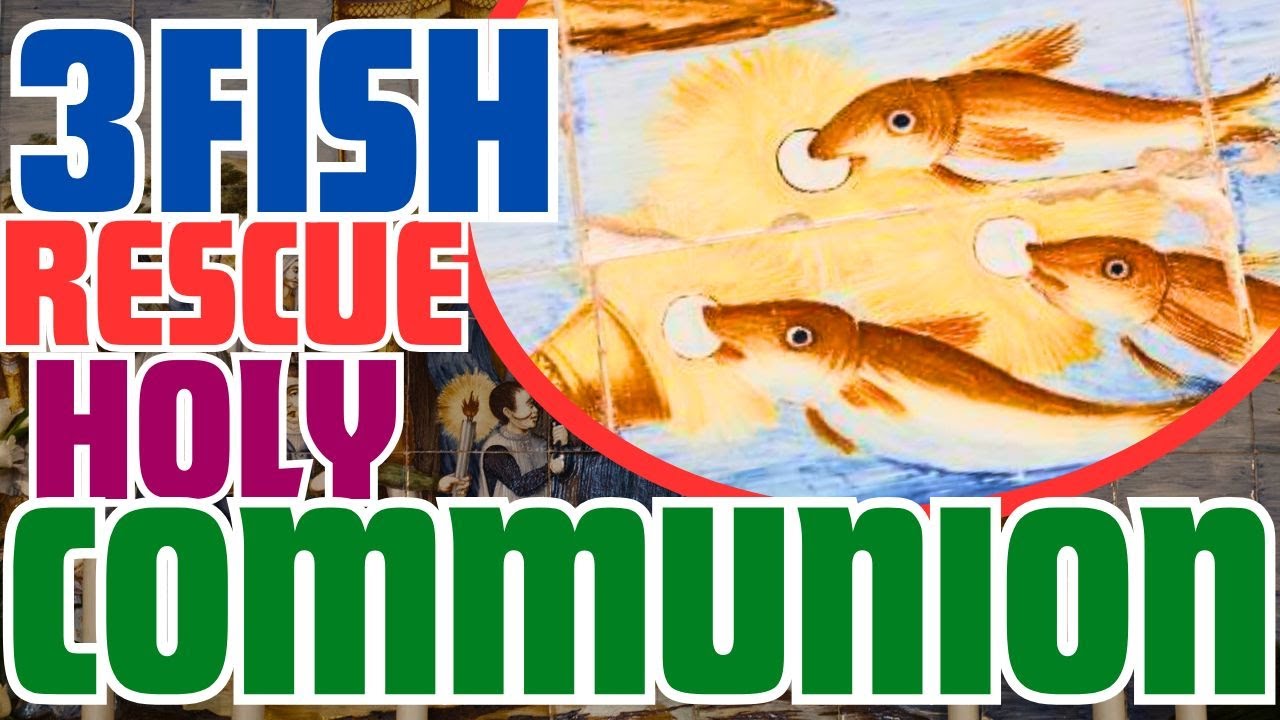 The FISH who rescued HOLY COMMUNION during a STORM - YouTube