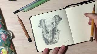 How To Draw Baby Elephant/Рисую В Скетчбуке Слонёнка