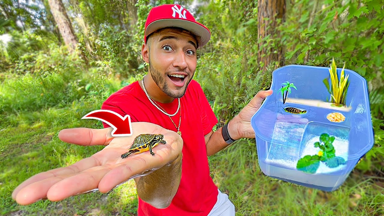 COMPREI um NOVO MINI LAGO para CRIAR TARTARUGAS BEBÊS