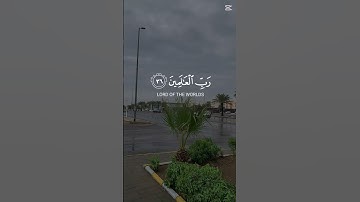 آيات تريح القلب #القرآن_الكريم #اكسبلور #ايات_قرانيه_قصيره #ارح_قلبك #تصويري #المدينة #ارح_قلبك