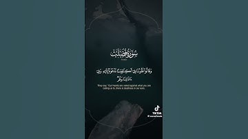 سورة فصلت .بصوت ياسر الدوسري #لايك