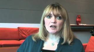 What Human Resources Were Required To Implement Qlikview