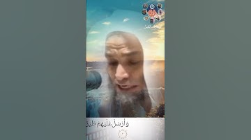 سورة الفيل #فيصل_غزاوي #ياسر_الدوسري