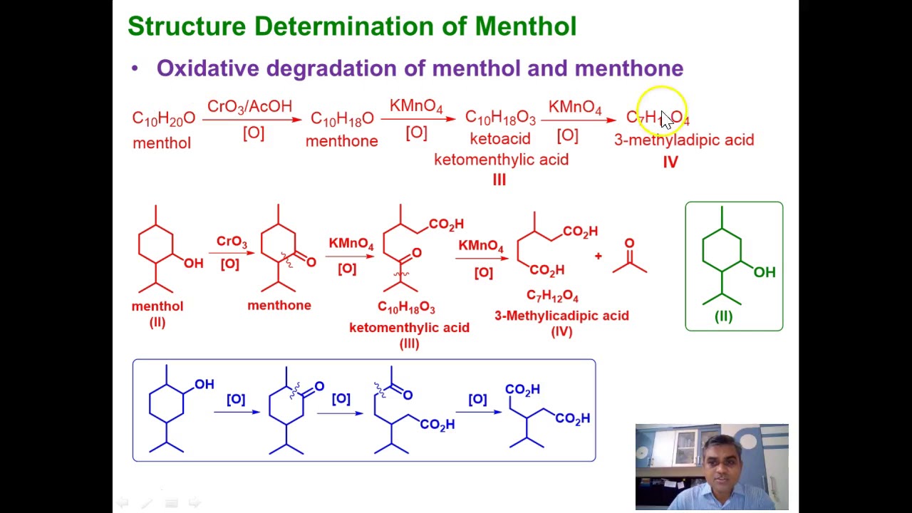 Lecture 4 Menthol - YouTube