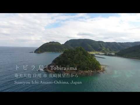 トビラ島 - 奄美大島 住用 市（いち）
