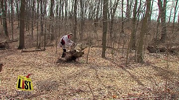 Making a sweet treat, the old fashioned way
