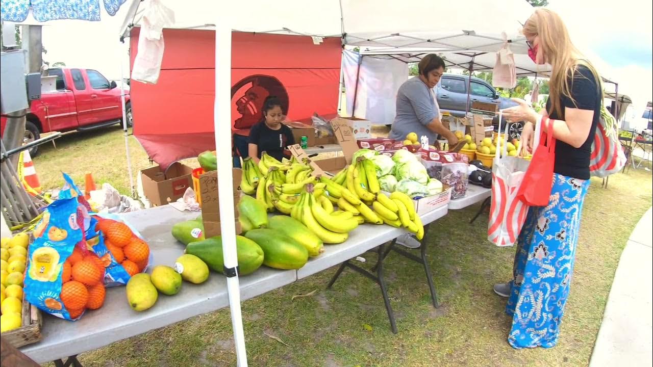 Mustang Market Farmers Flea Market FLORIDA 2021 Pinellas Park YouTube