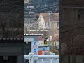 大仁金山