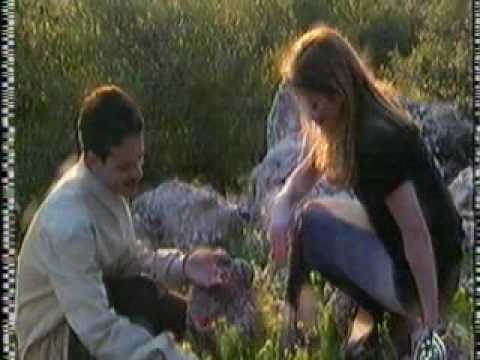 طلال سلامة وصلت أنا