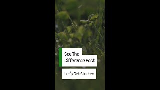 See The Difference Fast