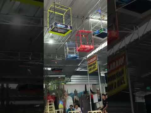 SIMULASI LOMBA KENARI#kicaumania #galerikenariindonesia #birds #kenari3in1 #kenari