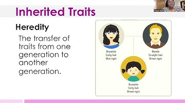Inherited Traits 1