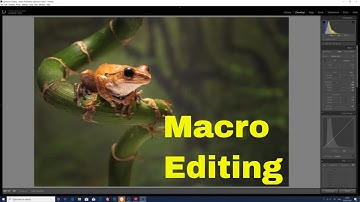 Lightroomm CC Editing My Macro Photographs