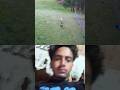 Hunter Turned Hunted in Seconds!#trending#animals#wildlife#cat#chicken#fox#shorts