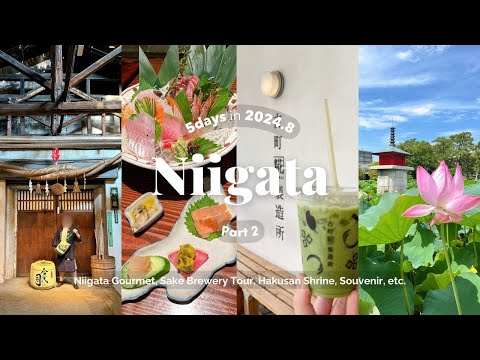 SUB)4泊5日の新潟夫婦旅 Part 2｜新潟市内編｜今代司酒造で酒造見学🍶｜ぽんしゅ館で日本酒飲み比べ🍶｜白山神社⛩️｜みなとのマルシェピア Bandaiでお土産調達🫛