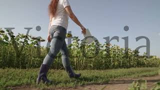 A Farmer In Rubber Boots Walks Across The Field With Tablet In His Hand, Farming, An Agronomist