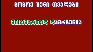 guga kobrava / გუგა კობრავა / baxchashia gadvixede (karaoke) ბახჩაშია გადვიხედე ( კარაოკე)