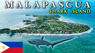Malapascua  Tiny ISLAND OF SHARKS (usually harmless )  Philippines Paradise Discovery Vlog