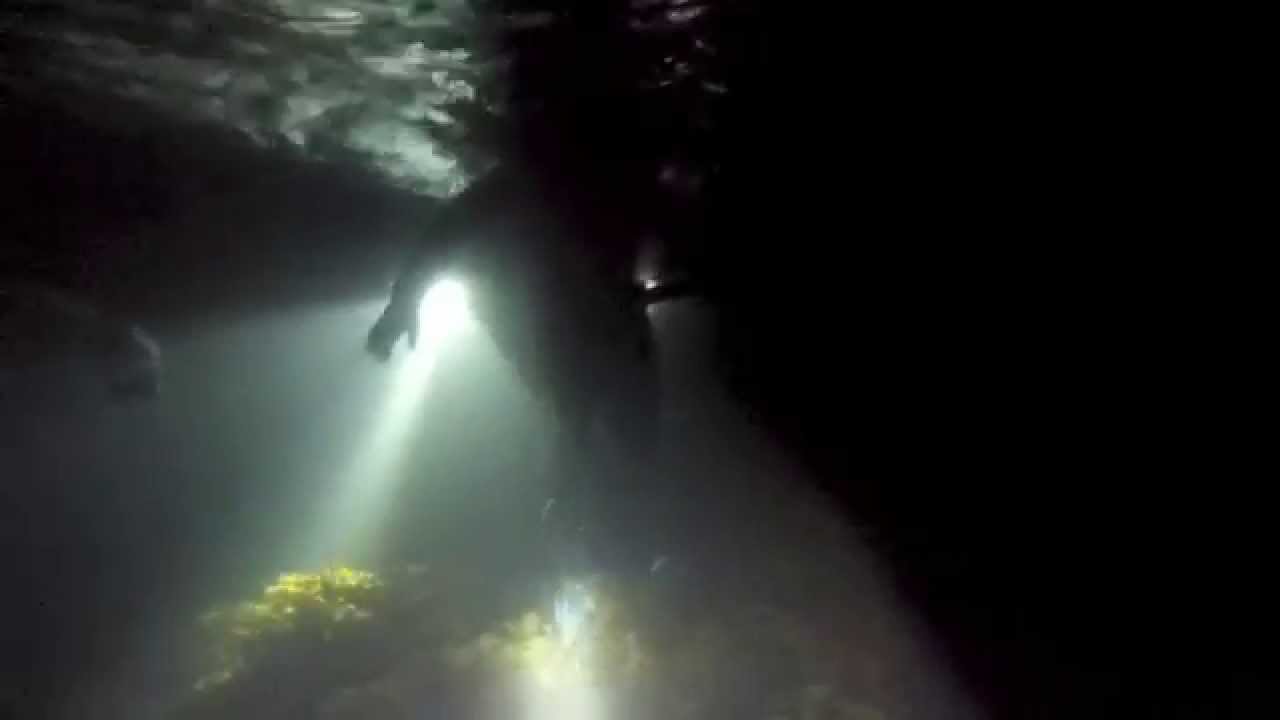 Freediving Perth Night Dive GoPro Hero Silver 4 YouTube