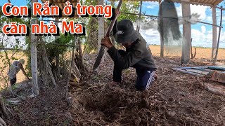 Bắt Con Rắn Độc Trong Căn Nhà Ma Tgsb 