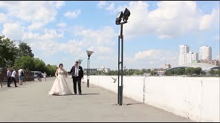 Свадьба Сергей и Анастасия