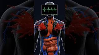smoking kills Effects of Smoking on Your Lungs 😱🚭 #medicalanimation #3danimation #facts