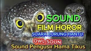 Owl Sound Effects | Suara Burung Hantu Film Horor | Pengusir Hama Tikus #mbakule88 #owl #burunghantu