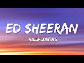 Ed Sheeran Wildflowers Lyrics