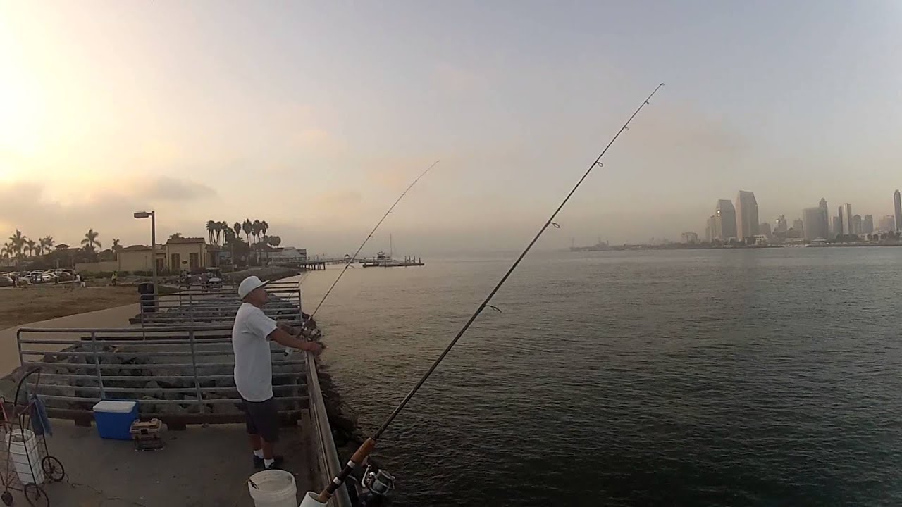 San Diego Fishing The Bait Master with guests in November fishing Part