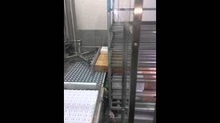 SES Stillage Loader