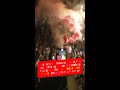 LOCURA en Londres después de que el ARSENAL conquistara la PREMIER
