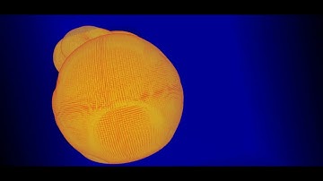 Plasma Bunny, PIC simulation 800 million particles