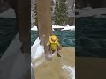 don't click the sound #animalcompany #speedrun