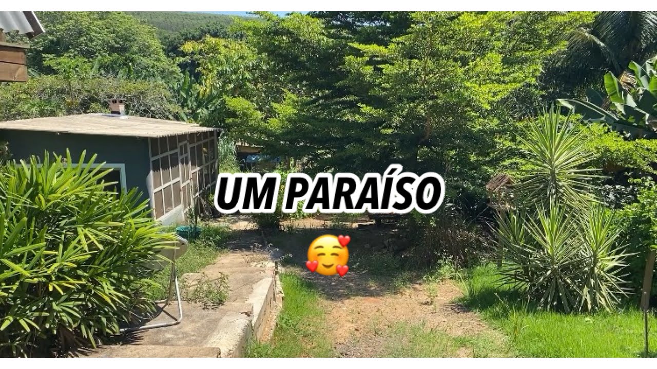 UM PARAÍSO QUE DEUS ME DEU PARA CUIDAR