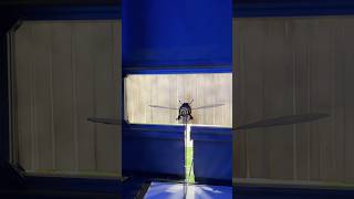 Knuffingen Airport - Behind The Scenes