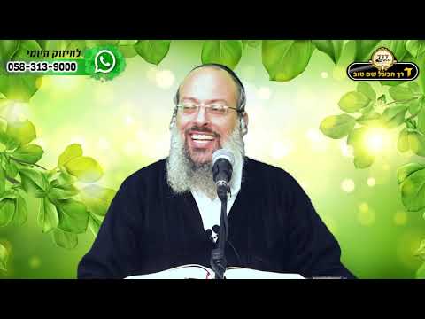 פרשת ויצא | שני סוגי קשר בבני זוג | חיבור של קדושה