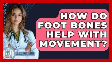 How Do Foot Bones Help With Movement? - Orthopedic Support Network