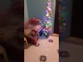no one in the house