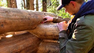 How I Make a Saddle Notch Ep42 Outsider Log Cabin