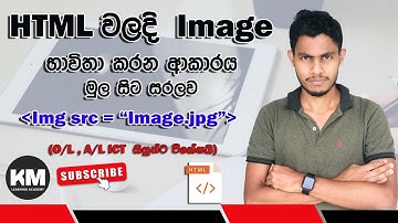 Learn HTML IMG Tag in Sinhala | Add Images to Your Website Easily | Step-by-Step Guide