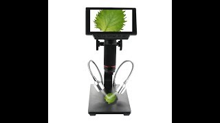 Best Electronic Usb Microscope